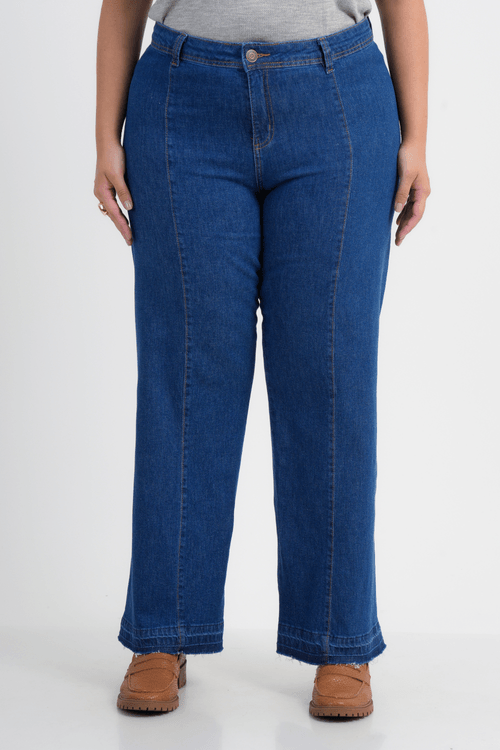 CALÇA PLUS SIZE FEMININO RETA JEANS DELINEAR